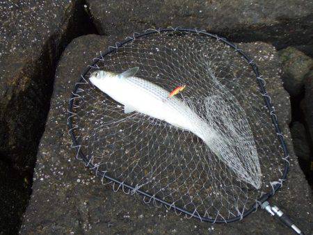 こんなところで漁船が・・・